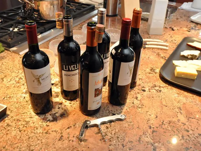 Switching Focus from Granite and Quartz: Innovative Materials Capturing Attention for Modern...