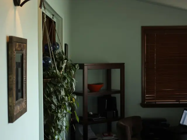 Transformed Trailing House Plants into a Stunning Indoor Display Using a £6 Amazon Purchase -...