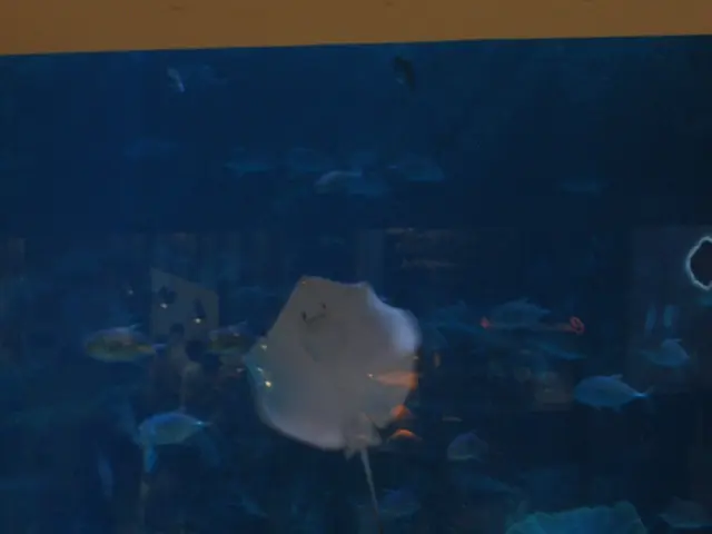 Acceptable Water Parameters Ranges for Saltwater Aquariums & Reef Tanks - Guideline Reference Chart