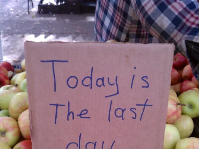 December 27th Celebration Guidelines: Dos and Don'ts for Filimonov Day