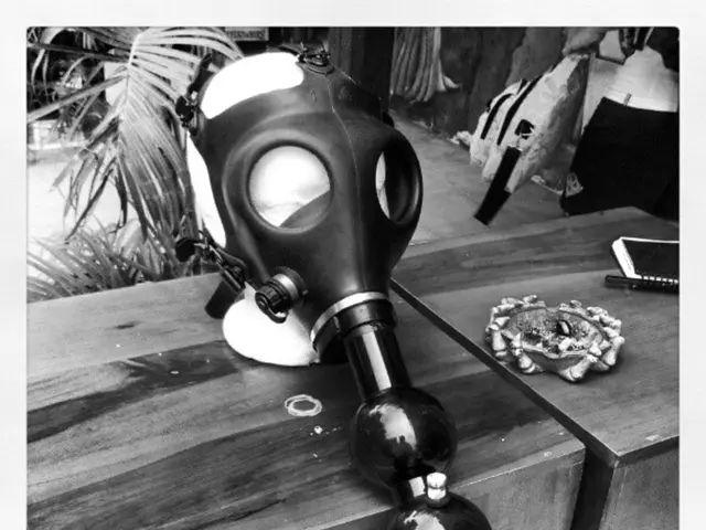 Rehabilitating Plant Finds from Discount Tables: Assessing Their Salvageability Initially