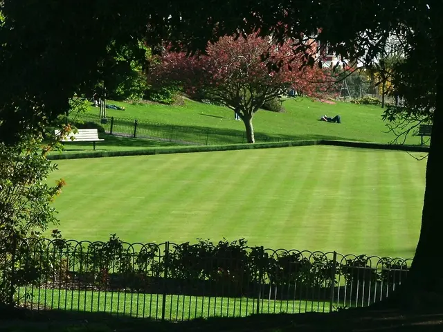 Transforming Outdoor Spaces into Awe-Inspiring Venues for Audience Engagement in Nature
