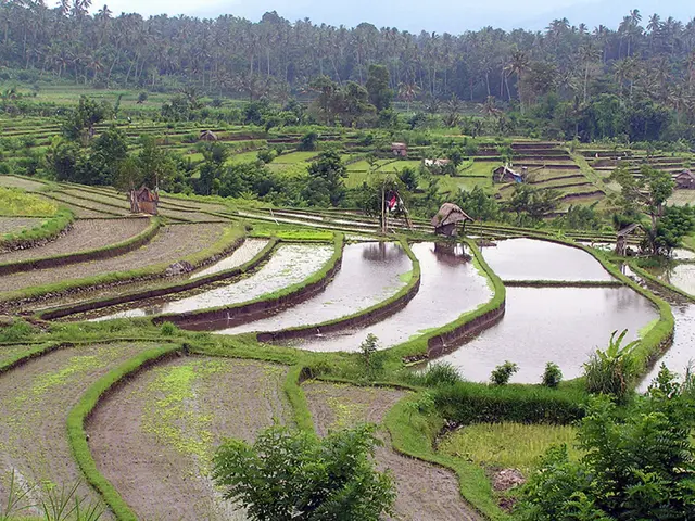 Adventurer Taking on New Zealand's 'Hut Trekking' Mission