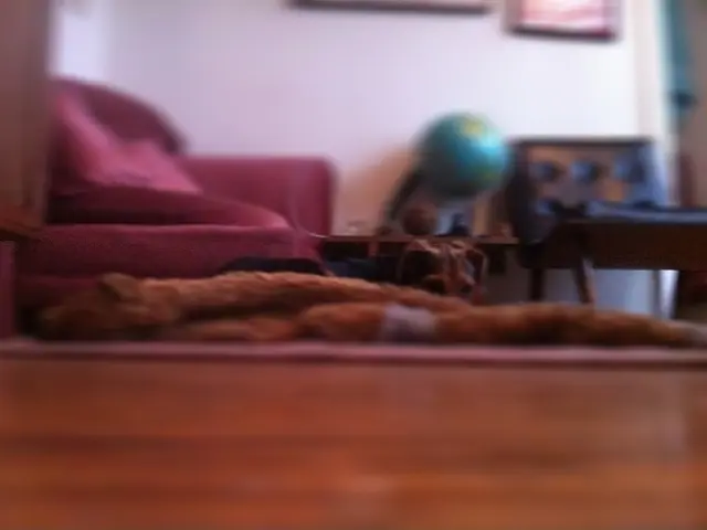 House emitting a musty odor? Investigate these 6 potential causes - and find out the appropriate...