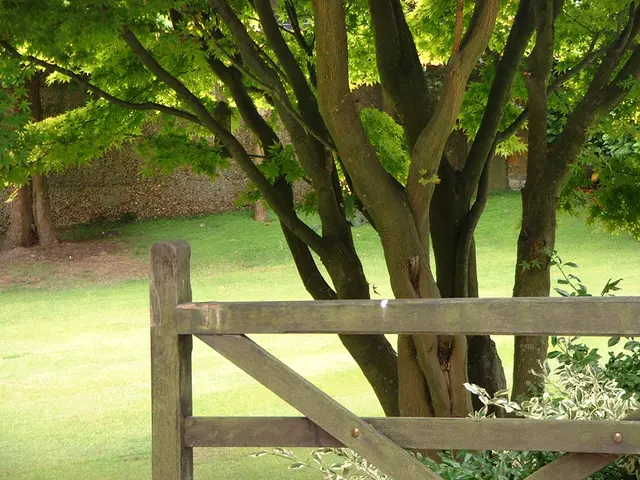 On a film set, a greensman is responsible for the design and maintenance of the outdoor sets,...