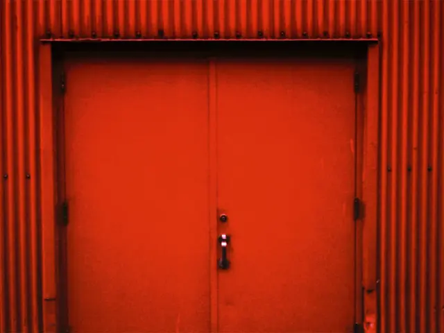 Complementary Shades for Red: Exploring 10 Colors That Elevate This Passionate Tone