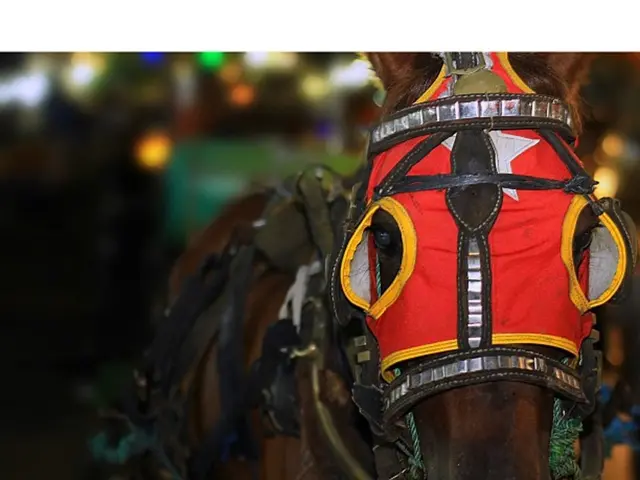 Housing Improvement Initiative: Launch of Initial Phase for Boosting Residential Construction