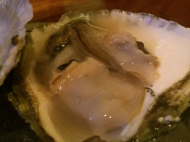 Harvesting Oysters Expands in Rural Alaska through Kodiak Ocean Bounty