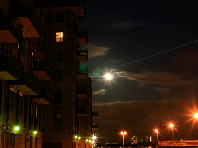 Research reveals the significance of nighttime businesses and activities