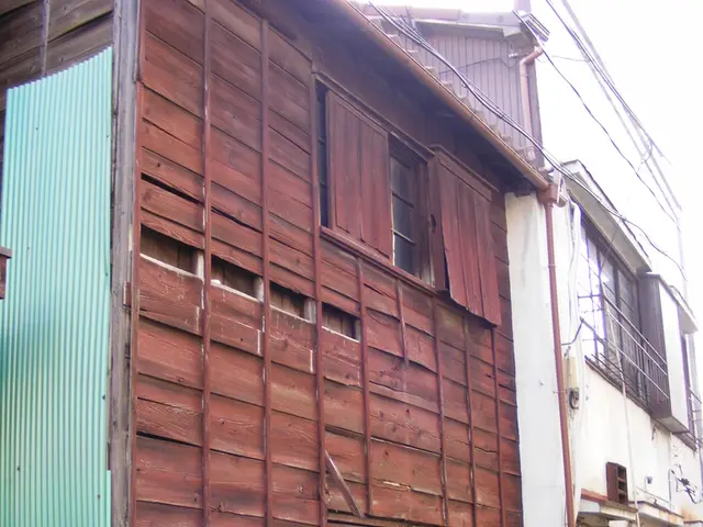 In this picture we can see a houseplant, roof sheets, road and buildings with windows.