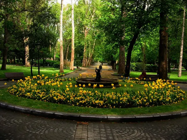 In this picture there is a small fountain in the middle of the garden and some yellow color...