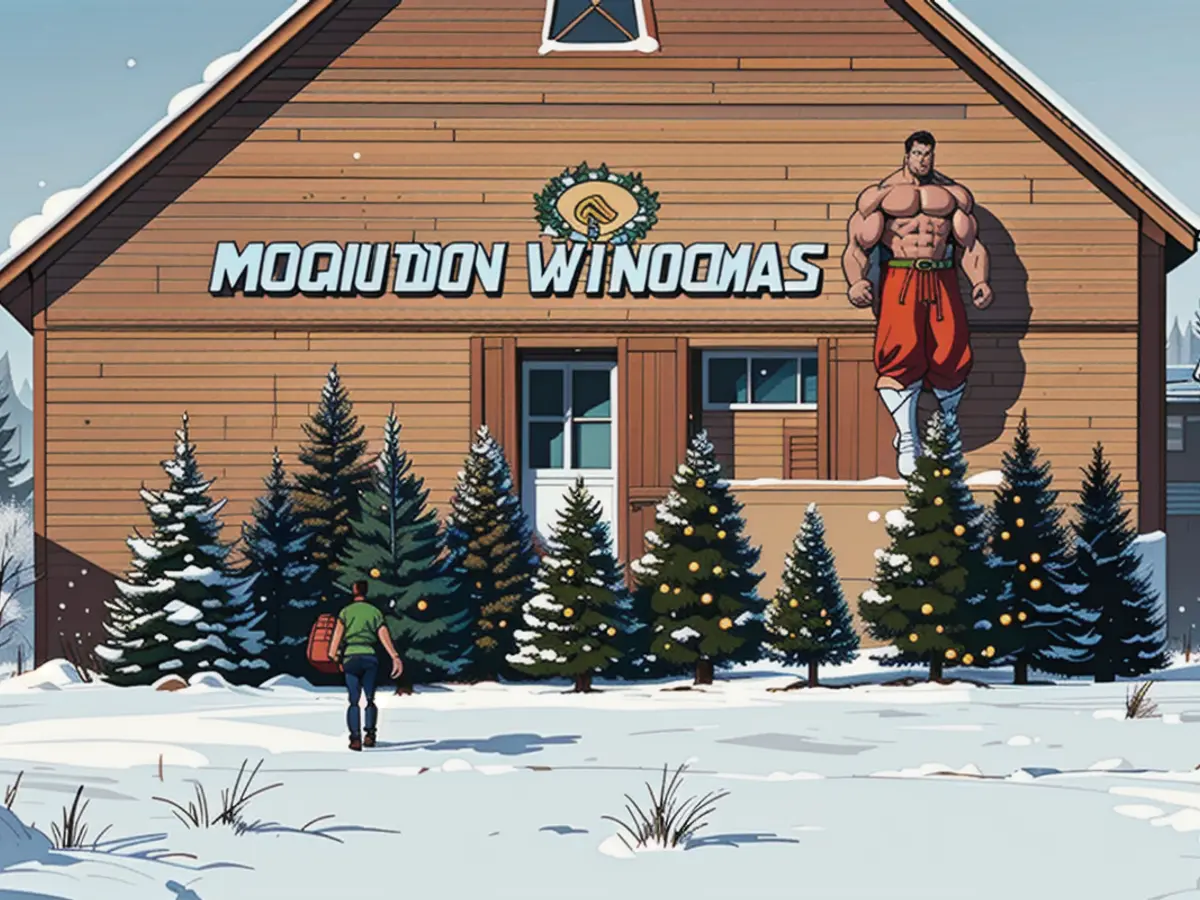 Ten Varieties of Christmas Trees and Strategies for Selecting the optimal one for Your Preferences