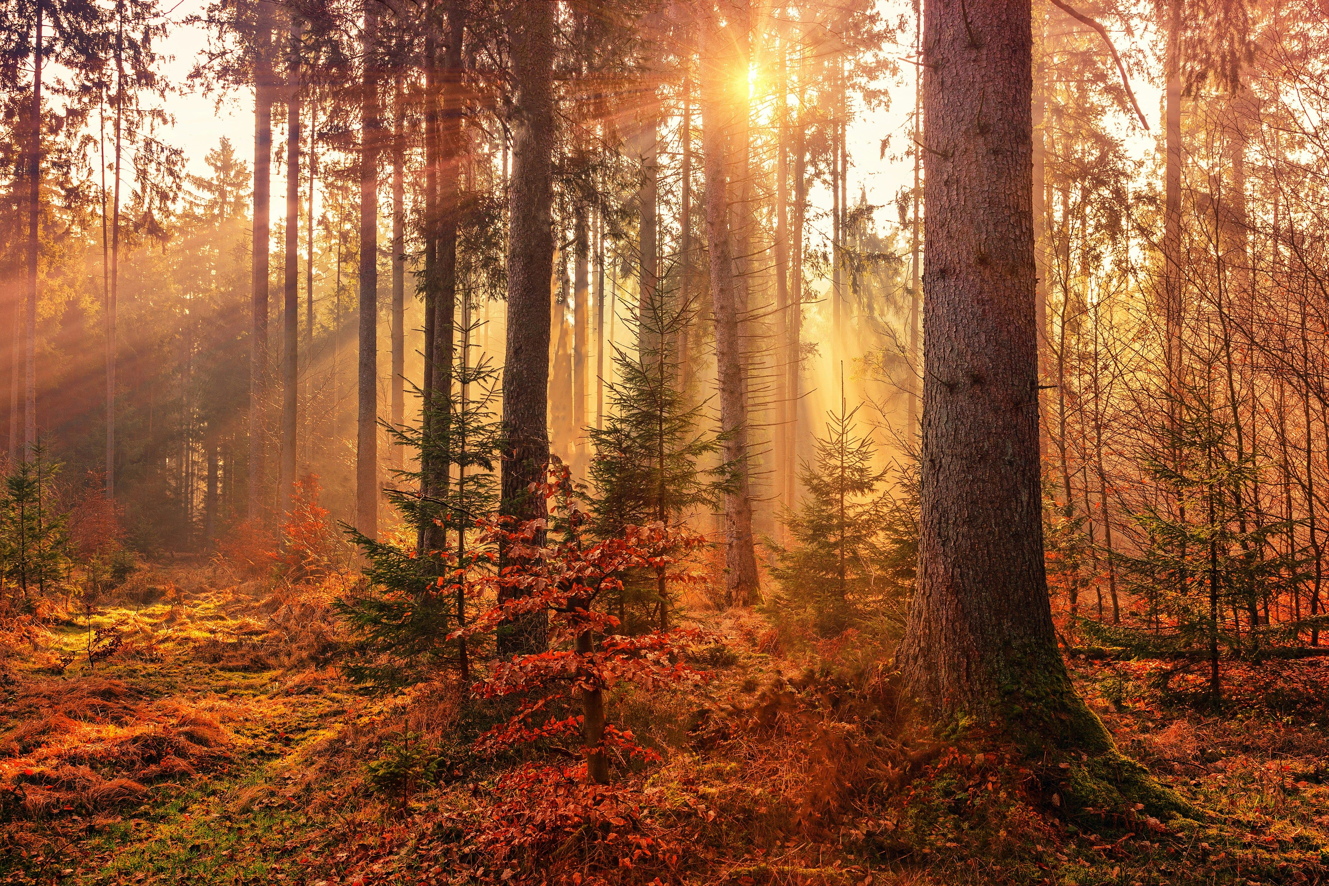 Despite being advised to purchase a home and invest in retirement savings, along with career...